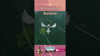 SHINY ALPHA STARAVIA shorts shinypokemonhunter pokemonlegendsarceus shinypokemon pokemon [upl. by Ramat]