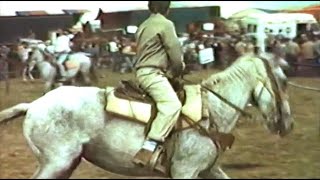 Un tuffo nel passato il filmato della Fiera di Pugliano del 1984 di Claudio Cardelli [upl. by Wolf]