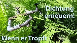 Tropfenden Wasserhahn zur Ruhe bringen Wasserhahn tropft Dichtung reparieren [upl. by Emily934]