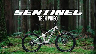 Sentinel V3 Tech Video [upl. by Ehctav]