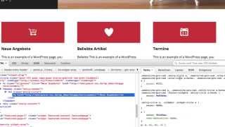 Anpassen mit Firebug [upl. by Adnorat953]