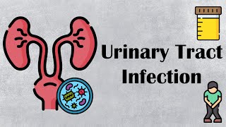 Urinary Tract Infection UTI  Causes Risk Factors Signs amp Symptoms Diagnosis And Treatment [upl. by Hgielyk621]