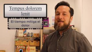 113 Latinismos para ser el más listo de la clase  Expresiones del latin  Mejora tus escritos [upl. by Reames]