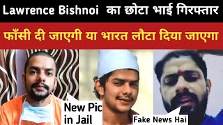 Lawrence Bishnoi Reaction  Anmol Bishnoi Arrested  Lawrence Bishnoi Brother News  Hindi News [upl. by Sinned]