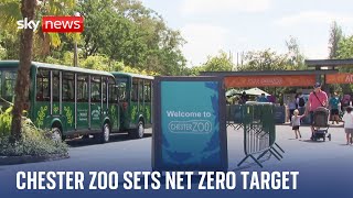 Chester Zoo sets target to reach net zero by 2030 [upl. by Islek60]