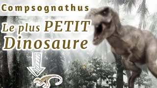 COMPSOGNATHUS quotLE CHAINON MANQUANTquot [upl. by Olnee]