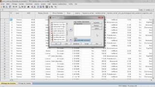 Formation SPSS Analyse de la variance ANOVA [upl. by Atinar]