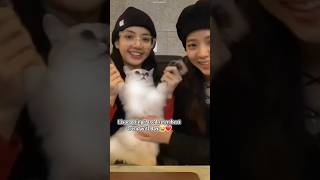 Lisoo funny moments😂❤ [upl. by Sashenka260]