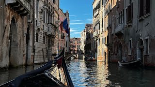 Italy Trip 2024  Venice in a Day Exploring Rialto Bridge St Mark’s Square  Day 5 [upl. by Bowyer]