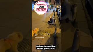 Mahmutbey Caddesi komik news görüntüler izleyeneözel [upl. by Annahtur]