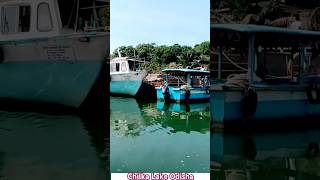 Chilka Lake Odisha Tourism shorts travel odisha [upl. by Delphina]