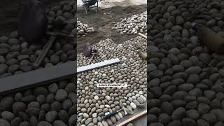 Pebbles ciottoli tiktok skills trending stone pavimenti skill trend patio cement shorts [upl. by Sebbie]