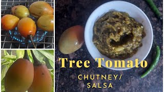 Tree Tomato Chutney  Roasted Tamarillo Salsa Chutney Recipes  Indian Recipes [upl. by Onifled]