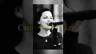 Seether feat Amy Lee  MusicLyrics 🔥 rock lyrics evanescence broken fyp shorts status sad [upl. by Kellyann828]