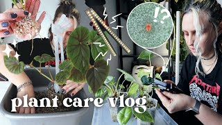 checking for pests setting up grow lights amp potting up props 🪴 Plant Chores Vlog [upl. by Violet613]