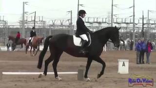 Beginner Novice Dressage Test [upl. by Tchao]