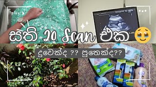 20th Week Scan Vlog  බබා දුවෙක්ද පුතෙක්ද 💗💙  Pregnancy Vlogs Sinhala [upl. by Asial]