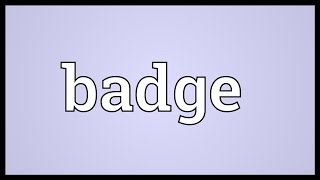 Badge Meaning [upl. by Euqinahc852]