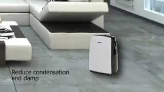 Dimplex Forte DXDH10N Product Information Video [upl. by Nyladam]