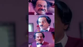 മിന്നാരം  MINNARAM Full Movie  Malayalam Comedy Movie  Mohanlal amp Shobana  Mohanlal Full Movie [upl. by Bough201]