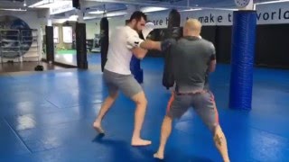 Georges St Pierre training 2016 UFC Comeback [upl. by Llennoj]