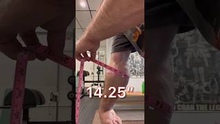 Forearm Measurement Before amp After Workout forearms [upl. by Yrennalf]