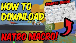 How to Download Natro Macro  UPDATED GUIDE Bee Swarm Simulator [upl. by Atat]