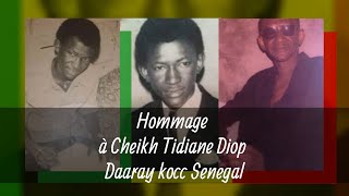 Hommage à Cheikh Tidiane Diop Daaray kocc Senegal [upl. by Creight6]