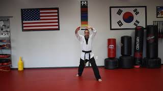 High Green Belt Self Defense and One Step Sparring [upl. by Casimir]