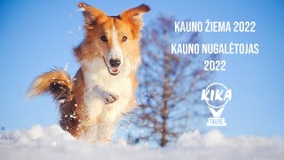 KAUNO NUGALĖTOJAS 2022 [upl. by Acimahs]