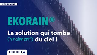 Comment traiter leau de pluie pour votre élevage [upl. by Gentes]