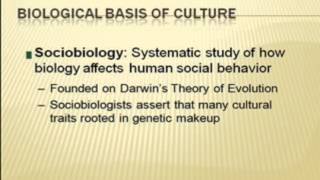 Sociobiology [upl. by Marshall]