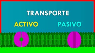 TRANSPORTE ACTIVO y PASIVO en la MEMBRANA PLASMÁTICA [upl. by Wilmer]