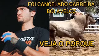 FOI CANCELADO DESAFIO BOI AVELOZ VEJA O PORQUE [upl. by Sprung]