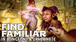 Find Familiar in Dungeons and Dragons 5e [upl. by Mccollum]