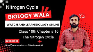 Class 10  Biology  Chapter 16  Lecture 5  Nitrogen Cycle [upl. by Stiegler77]