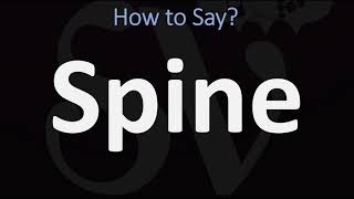 How to Pronounce Spine CORRECTLY [upl. by Desiree]