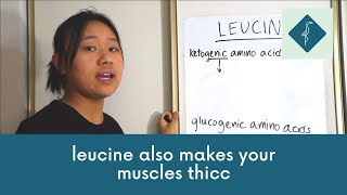 Leucine ft Ketogenic and Glucogenic Amino Acids [upl. by Israel]