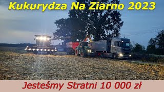 210 Kukurydza Na Ziarno 2023  Straciliśmy Na Dzierżawie Przez Niskie Ceny Kukurydzy [upl. by Kerwin]