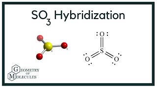 SO3 Hybridization Sulfur Trioxide [upl. by Jobye]