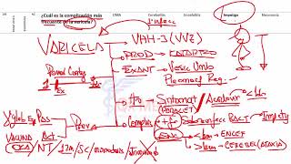 BANCO PREGUNTAS 2  PEDIATRIA 1 [upl. by Laughlin]