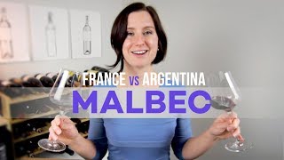 France vs Argentina Malbec Wine [upl. by Arekahs]