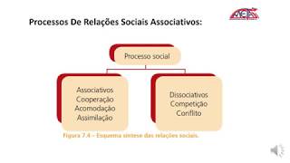 Associativo e Dissociativo  Sociologia Primeiro Ano Ensino Médio [upl. by Regnig479]