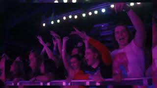 Glass Animals  Dreamland Tour Diary US Vol 1 [upl. by Deana]