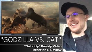 GODZILLA VS CAT OWLKITTY Parody Video Reaction amp Review [upl. by Eenaej]