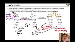 Epimerization and Carbonyl Migration of Carbohydrates [upl. by Bekah900]