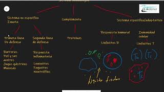 Generalidades del sistema inmunológico [upl. by Ferrell]