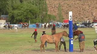 Jineteada Gobernador Costa Franco Briones  Broches de Oro gurupa  Fiesta del Caballo 2023 M5 [upl. by Searby]