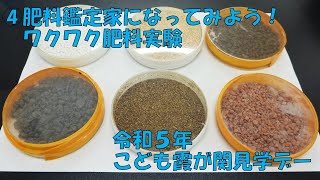 令和５年度こども霞が関見学デー「肥料鑑定家になってみよう！ワクワク肥料実験」 [upl. by Enoitna717]