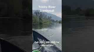 Trinity River Steelhead 2025 [upl. by Possing]